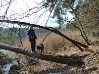 mit Kira im Wald  ...